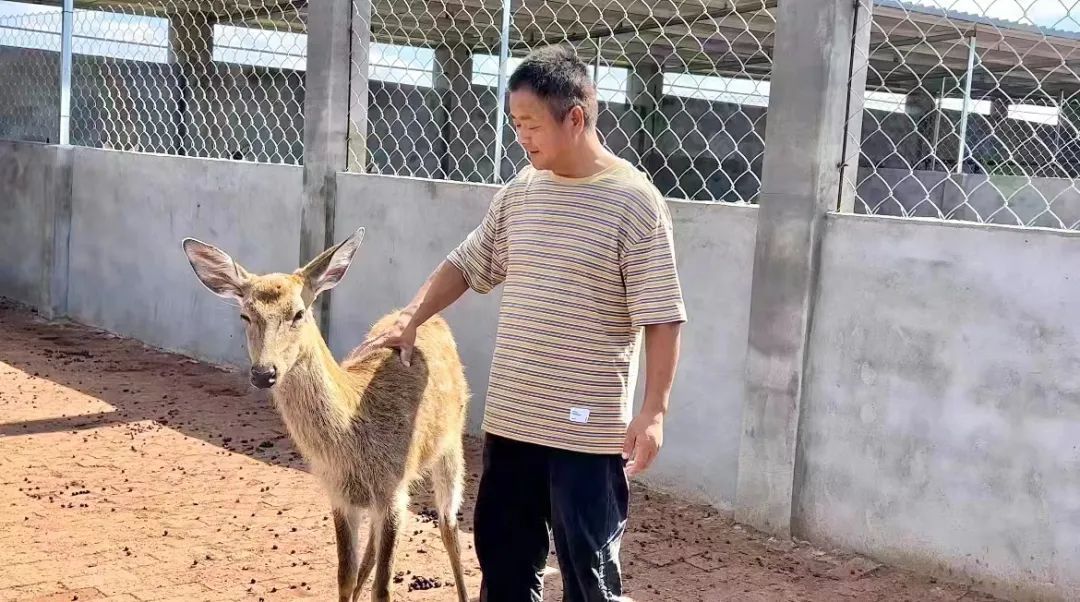 捕鱼游戏电脑版在线赚现金